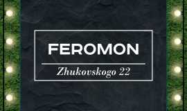 Feromon Zhukovskogo 22
