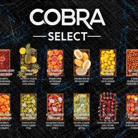 Новая линейка Select от бренда Cobra.