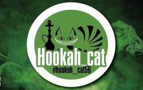 Hookah Cat