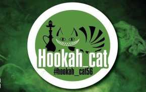 Hookah Cat